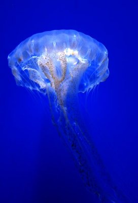 DSC_7906.jpg