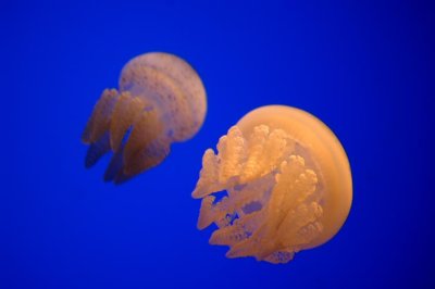 DSC_7922.jpg