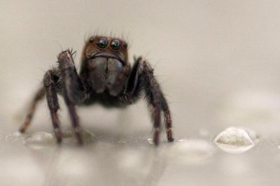DSC_5228 n.jpg