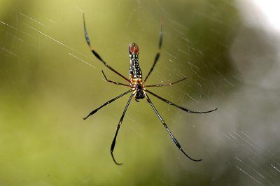 DSC_7248s.jpg