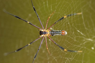 DSC_7254s.jpg