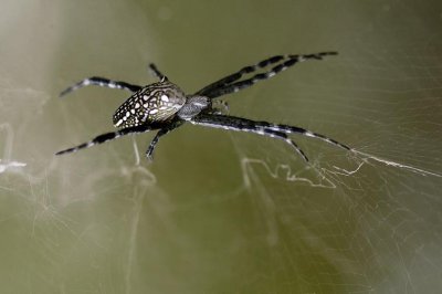 DSC_7762.jpg