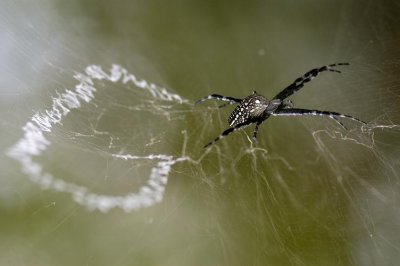 DSC_7766.jpg