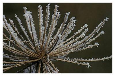 Givre