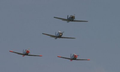 Pilatus P3 vol en formation