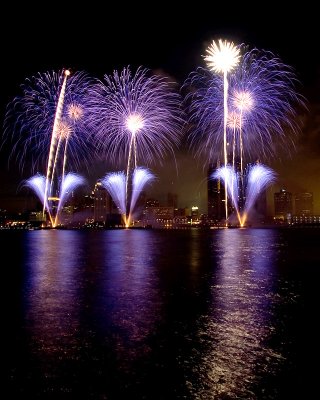 Detroit Fireworks 2009