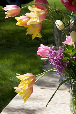 Farmers Market Tulips