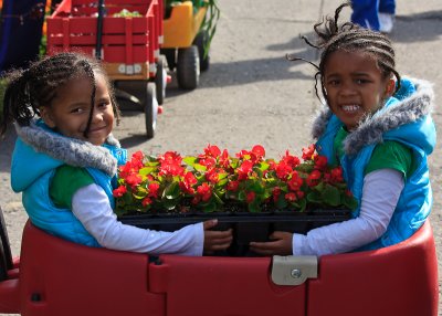 Carrying home the flowers