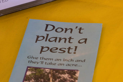 Don't plant a pest