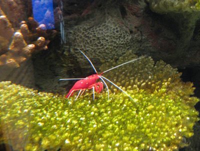 IMG_5594.jpg