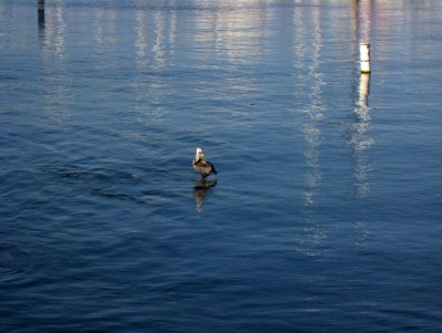 IMG_5950.jpg