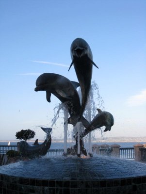 IMG_5969.jpg