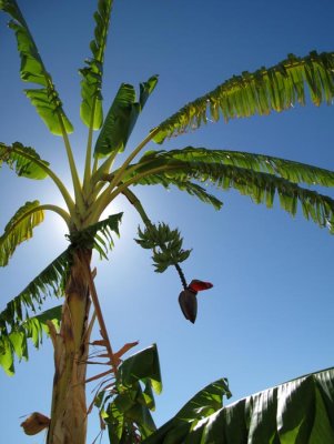 IMG_1985.jpg