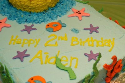 Celebrating Aiden's 2nd Birthday
