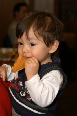 DSC_8960xs.jpg