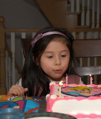 DSC_0009cxs.jpg