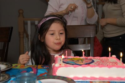 DSC_0010xs.jpg