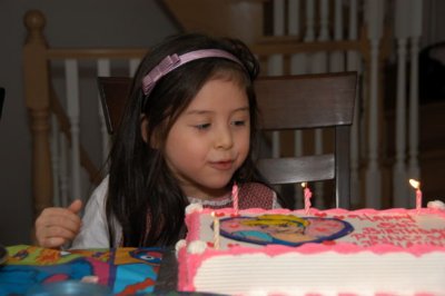 DSC_0011xs.jpg