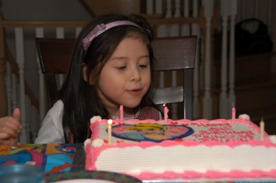 DSC_0012xs.jpg