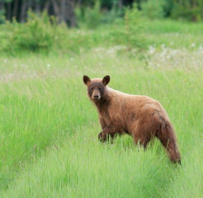 Alaska-17.jpg