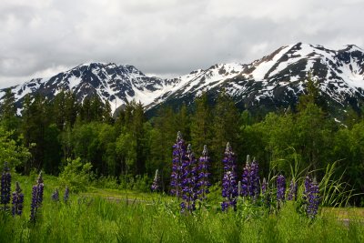Alaska-22.jpg