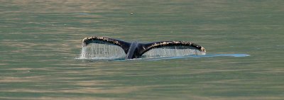 Alaska-40.jpg