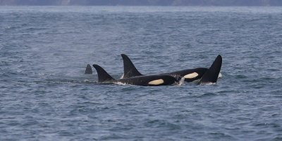 Alaska-43.jpg