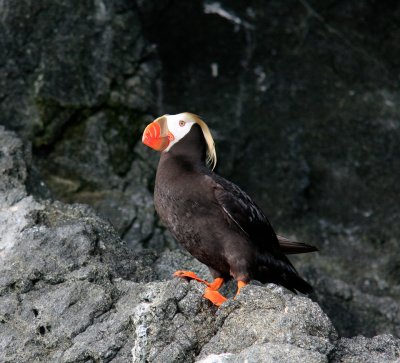Alaska-57.jpg