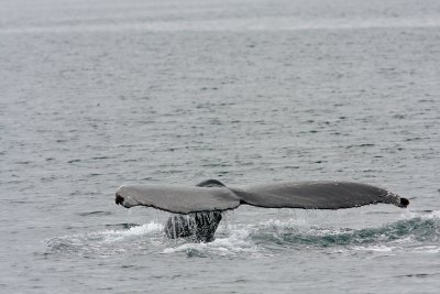 Alaska-58.jpg