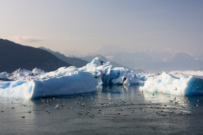 Alaska-61.jpg