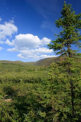 Alaska-67.jpg