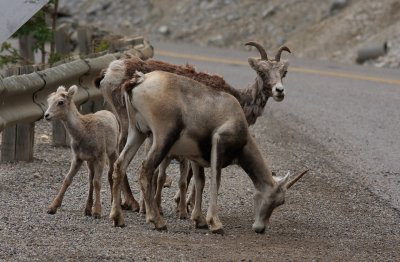 Alaska-87.jpg