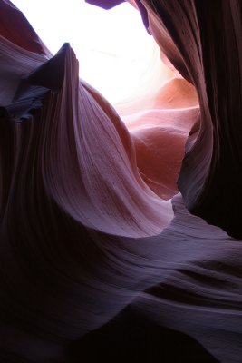 IMG_4953A800.jpg