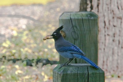 IMG_5101-1aaa800.jpg