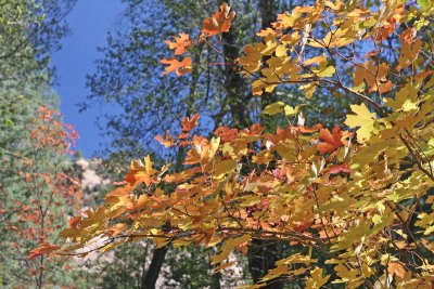 IMG_5637a800.jpg