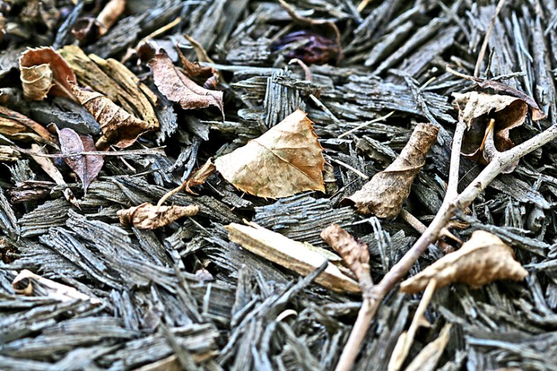 Mulch