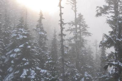Temagami?