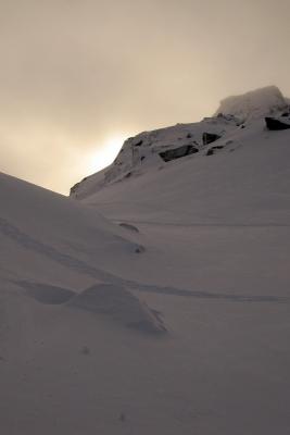 Fresh Tracks