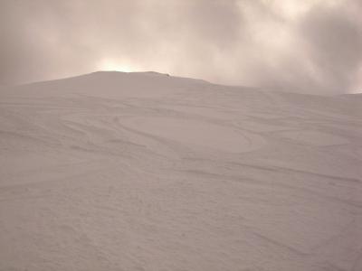 fresh tracks