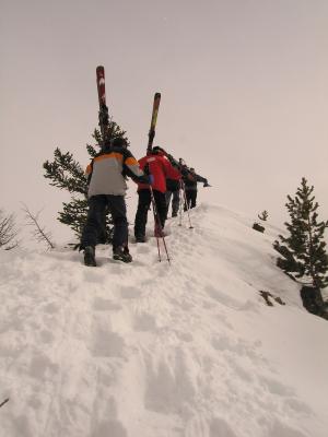 Outback Ridge across Taynton Bowl