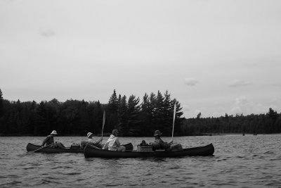 IMG_5381.jpg