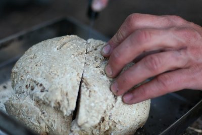IMG_5388.jpg