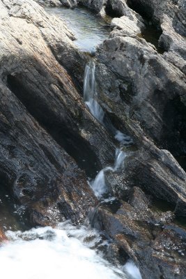 IMG_5815.jpg