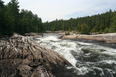 IMG_5825.jpg