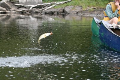 IMG_5840.jpg