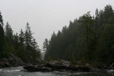 IMG_5882.jpg