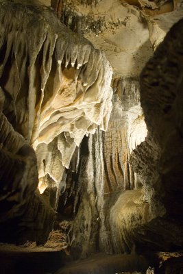 IMG_3557.jpg