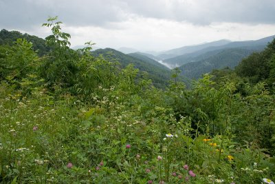 IMG_3760.jpg