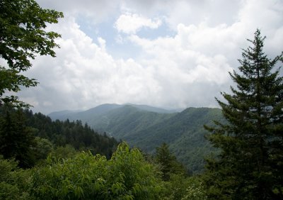 IMG_3716-c.jpg