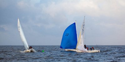 IMG_4571.jpg